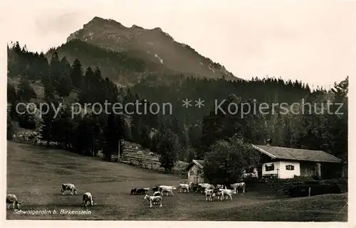 AK / Ansichtskarte Birkenstein Schwaigeralm Birkenstein