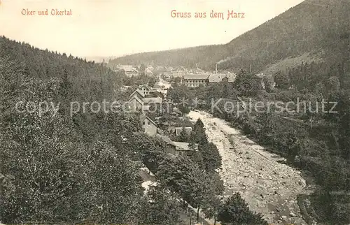 AK / Ansichtskarte Okertal Okerpartie Okertal