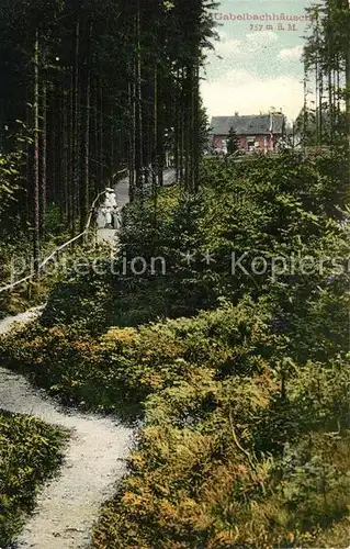 AK / Ansichtskarte Thueringen_Region Gabelbachhaeuschen Thueringen Region