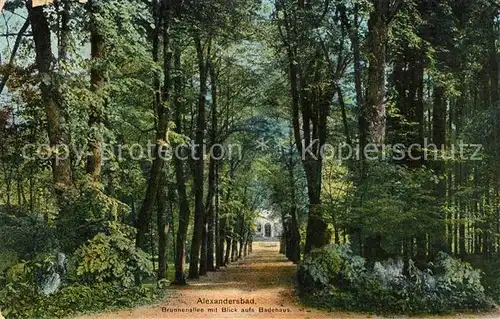 AK / Ansichtskarte Alexandersbad_Bad Brunnenallee mit Blick aufs Badehaus Alexandersbad_Bad