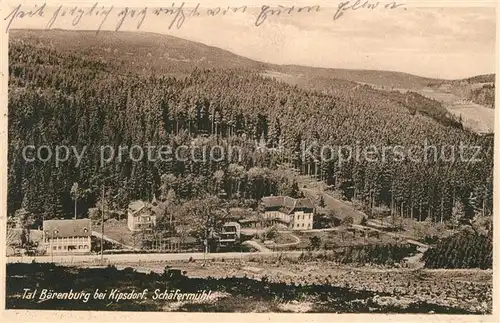 AK / Ansichtskarte Kipsdorf Tal Baerenburg Schaefermuehle Kipsdorf