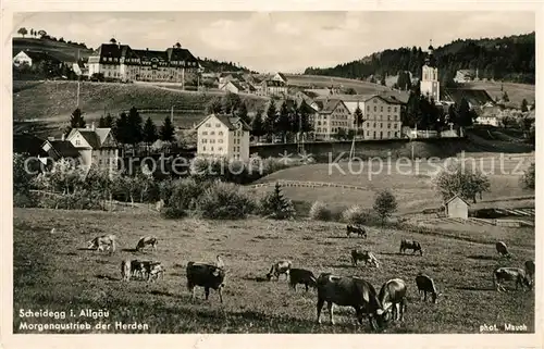 AK / Ansichtskarte Scheidegg_Allgaeu Morgenaustrieb der Herden Scheidegg Allgaeu