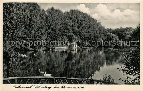 AK / Ansichtskarte Wittenberg_Lutherstadt Am Schwanenteich Wittenberg_Lutherstadt