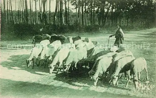 AK / Ansichtskarte Hirte Pays Landais  Hirte