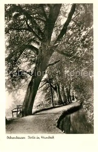 AK / Ansichtskarte Ochsenhausen Partie im Krumbach Ochsenhausen