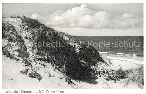 AK / Ansichtskarte Westerland_Sylt Duenen Westerland_Sylt