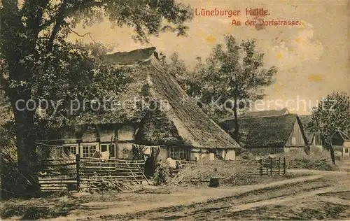 AK / Ansichtskarte Lueneburger_Heide Dorfstrasse Reetdachhaeuser Bauernhof Lueneburger Heide