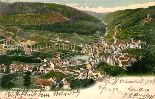 AK / Ansichtskarte Bad_Liebenzell Panorama Nagoldtal mit Blick zur Burg Bad_Liebenzell