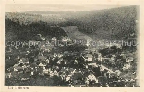 AK / Ansichtskarte Bad_Liebenzell Panorama Kurort im Schwarzwald Bad_Liebenzell