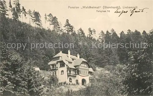 AK / Ansichtskarte Bad_Liebenzell Pension Waldheimat Kurort im Schwarzwald Bad_Liebenzell