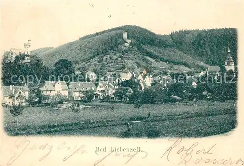 AK / Ansichtskarte Bad_Liebenzell Panorama mit Kirche und Burg Bad_Liebenzell