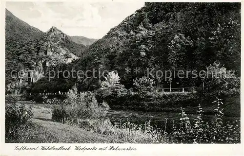 AK / Ansichtskarte Waldbreitbach_Wied Wiedpartie mit Hahnenstein Waldbreitbach Wied