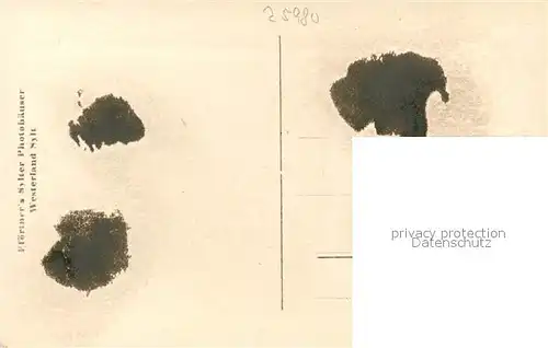 AK / Ansichtskarte Westerland_Sylt Seepromenade Westerland_Sylt