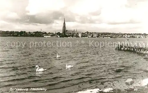 AK / Ansichtskarte Haddeby Seepartie Schwaene Haddeby
