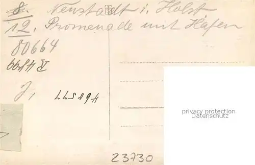 AK / Ansichtskarte Neustadt_Holstein Seepromenade Hafen Neustadt_Holstein