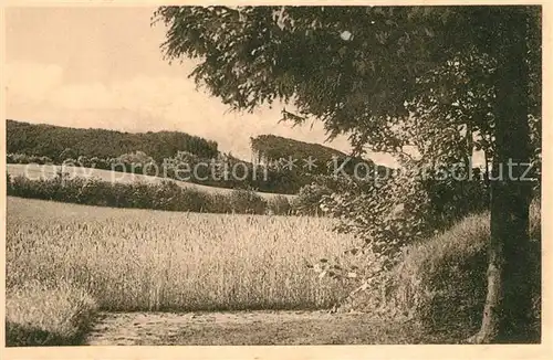AK / Ansichtskarte Poenitz_See Haus Margarethenhoehe Poenitz_See
