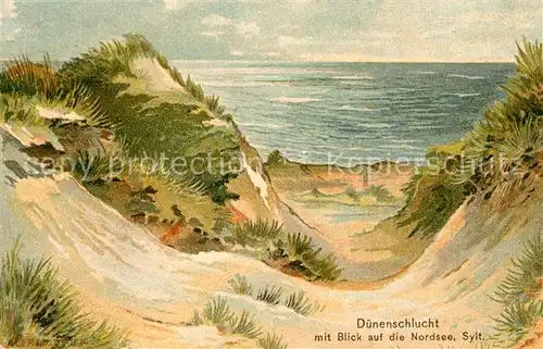 AK / Ansichtskarte Westerland_Sylt Duenenschlucht Blick zur Nordsee Westerland_Sylt