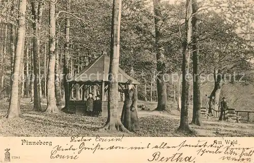 AK / Ansichtskarte Pinneberg Pavillon im Wald Pinneberg