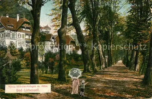 AK / Ansichtskarte Bad_Liebenzell Koenig Wilhelm Anlagen mit Allee Bad_Liebenzell