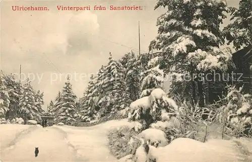 AK / Ansichtskarte Ulricehamn Vinterparti fran Sanatoriet Ulricehamn