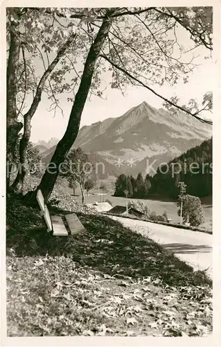 AK / Ansichtskarte Leysin Le Pic Chaussy Leysin