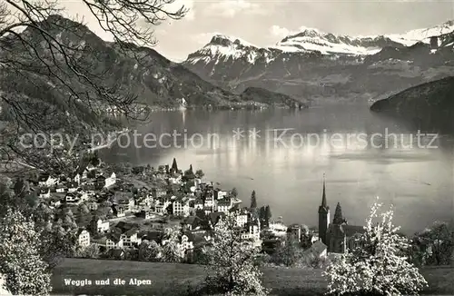 AK / Ansichtskarte Weggis_Vierwaldstaettersee Panorama  Weggis_Vierwaldstaettersee