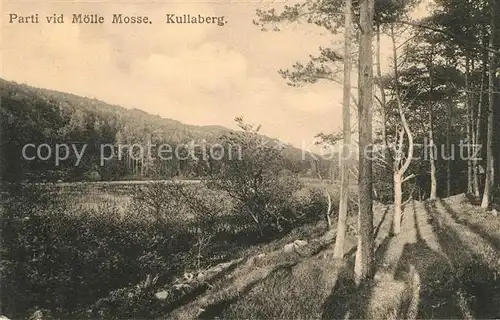 AK / Ansichtskarte Kullaberg_Ransvik Parti vid Moelle Mosse 