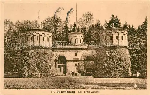 AK / Ansichtskarte Luxembourg Les Trois Glands Luxembourg