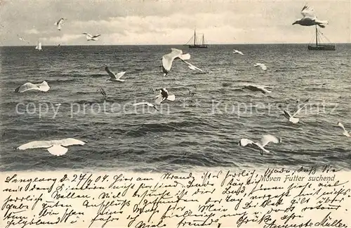 AK / Ansichtskarte Langeoog_Nordseebad Moeven auf See Langeoog_Nordseebad