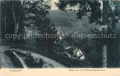 AK / Ansichtskarte Bad_Liebenzell Blick von der Schoembergerstrasse Waldpartie Bad_Liebenzell