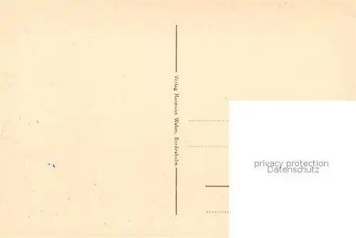 AK / Ansichtskarte Bordesholm See Panorama Bordesholm