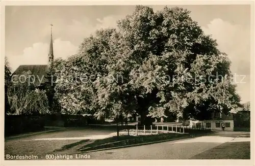 AK / Ansichtskarte Bordesholm Alte Linde Kirche Bordesholm