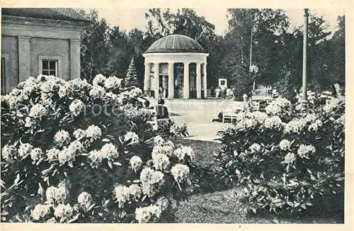 AK / Ansichtskarte Franzensbad_Tschechien Franzensquelle Bluehende Rhododentron Franzensbad_Tschechien