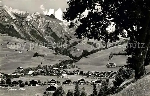 AK / Ansichtskarte Chateau d_Oex Panorama Chateau d Oex