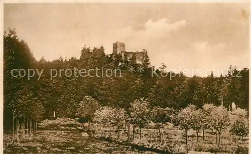 AK / Ansichtskarte Choustnika Panorama Burg Choustnika