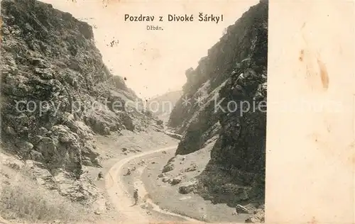 AK / Ansichtskarte Divoke_Sarky Panorama 