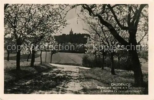 AK / Ansichtskarte Chudenice_Chudenitz Panorama 