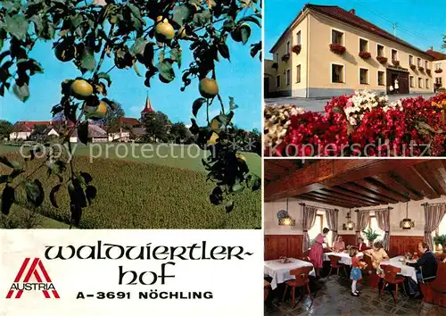 AK / Ansichtskarte Noechling Gasthof Waldviertlerhof  Noechling