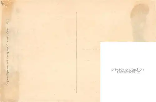 AK / Ansichtskarte Bad_Liebenzell Panorama Nagoldtal Kurort im Schwarzwald Bad_Liebenzell