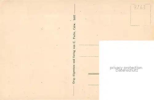 AK / Ansichtskarte Bad_Liebenzell Panorama Kurort im Schwarzwald Bad_Liebenzell