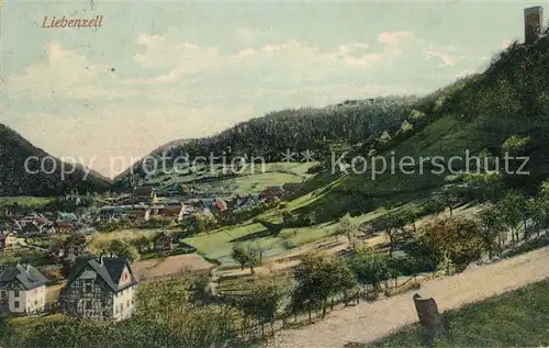 AK / Ansichtskarte Bad_Liebenzell Panorama Kurort im Schwarzwald Bad_Liebenzell