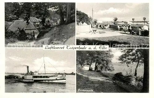 AK / Ansichtskarte Tesperhude_Elbe Teilansicht Landhaus Garten Dampfer Promenade Tesperhude Elbe