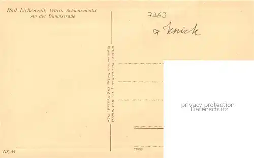 AK / Ansichtskarte Bad_Liebenzell Partie an der Baumstrasse Zeichnung Kuenstlerkarte Bad_Liebenzell