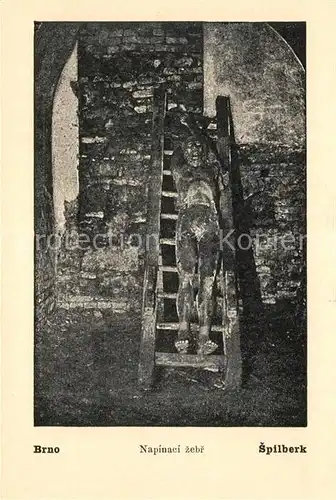 AK / Ansichtskarte Brno_Bruenn Napinaci zebr Brno_Bruenn