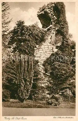 AK / Ansichtskarte Visby St. Olafs Ruin Visby