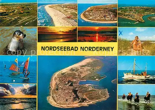 AK / Ansichtskarte Norderney_Nordseebad Fliegeraufnahme Segelboot Pferd  Norderney_Nordseebad