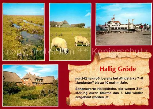 AK / Ansichtskarte Hallig_Groede Boot Roler II  Hallig Groede