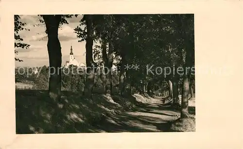 AK / Ansichtskarte Tabor Waldweg Allee Tabor