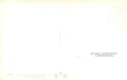 AK / Ansichtskarte Wilderswil Panorama Wilderswil