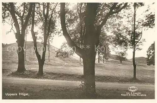 AK / Ansichtskarte Uppsala Hoegar Uppsala